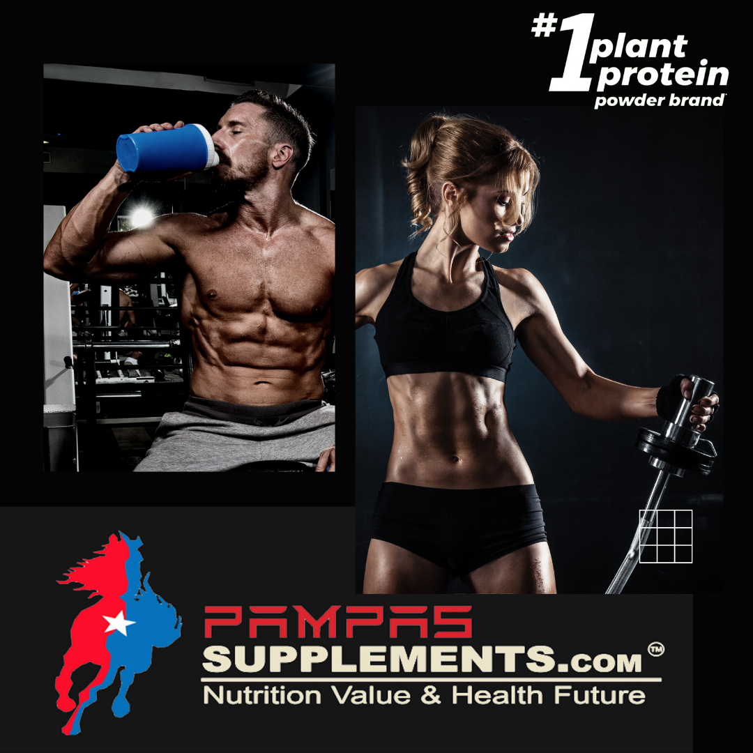 Pampas Supplements.com Vegan Protein Powder, Strawberry flavor, 2 LB - 30g Plant Protein, 7g Prebiotic Fiber, No Lactose Ingredients, Non-GMO, Sport Protein,for Shakes & Smoothies